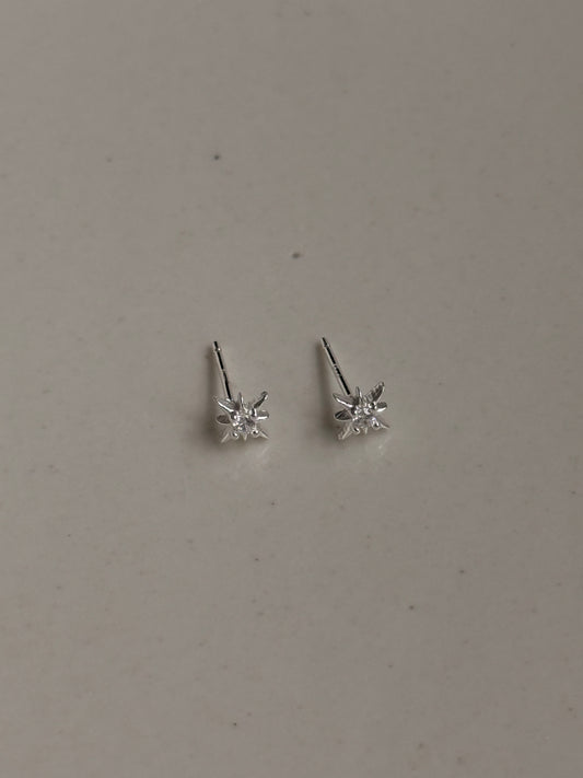SILVER SPARKLE EARRING